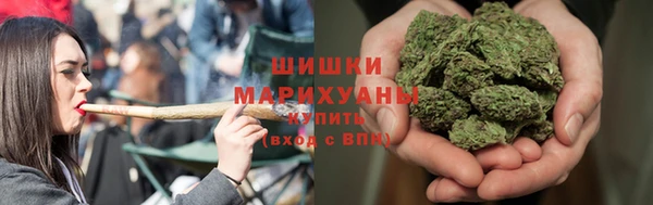 спайс Богданович