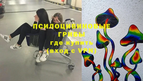 спайс Богданович