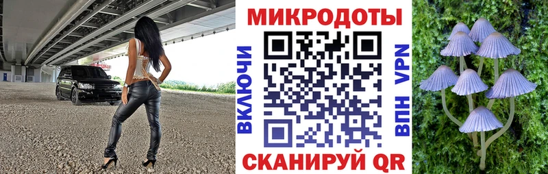 купить наркотики цена  Ворсма  Псилоцибиновые грибы MAGIC MUSHROOMS 